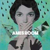 Mini Album: Ames Room