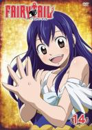FAIRY TAIL 14