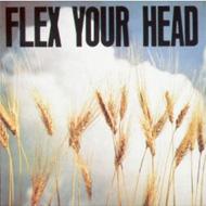 Flex Your Head | HMV&BOOKS online - DIS07-O