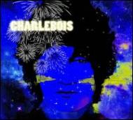 Robert Charlebois/Tout Est Bien (Dled)