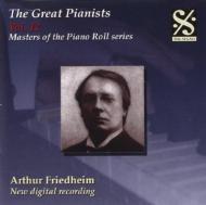 The Great Pianists Piano Roll Recordings Vol.12: Friedheim