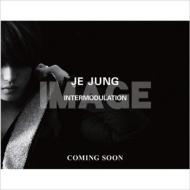 JEJUNG -INTERMODULATION yDVDtʐ^Wz