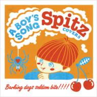 Spitz Covers