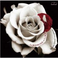Saxophone Classical/翹 Le Rossignol Et La Rose