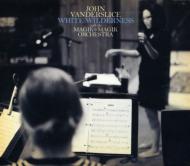 John Vanderslice/White Wilderness