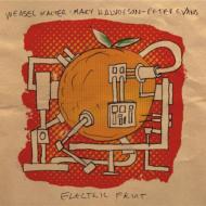 Mary Halvorson / Peter Evans / Weasel Walter/Electric Fruit