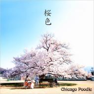 Chicago Poodle/ (+dvd)(Ltd)