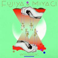 Fujiya  Miyagi/Ventriloquizzing (Digi)