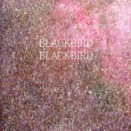 Blackbird Blackbird/Summer Heart
