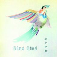֥/Blue Bird