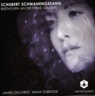 塼٥ȡ1797-1828/Schwanengesang Gilchrist(T) Tilbrook(P) +beethoven An Die Ferne Geliebte