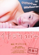 Seishun H Ichijiku Kobachi