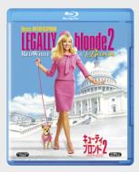 Legally Blonde 2