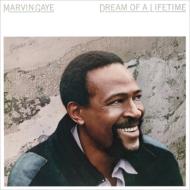 Dream Of A Lifetime (Papersleeve)