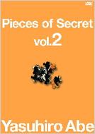 Pieces of Secret vol.2