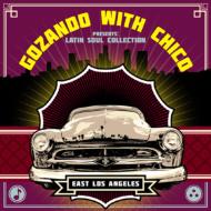 Various/Gozando With Chico Presents Latin Soul Collection