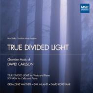 Carlson David/True Divided Light-chamber Music： Walther(Va) Miland(Vc) Korevaar(P)