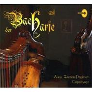 Transcriptions For Harp: Zauner-pagitsch