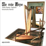 Harp Classical/Le Mie Arpa-historical Harp： Zauner-pagitsch