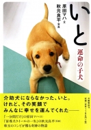 ���� �^���̎q��