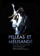 Documentary Pelleas et Melisande : Py, Minkowski / Stanislavsky & Danchenko Theatre (PAL-DVD)