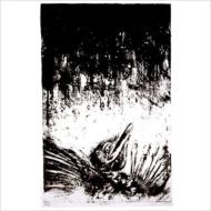 Presences Of Absences