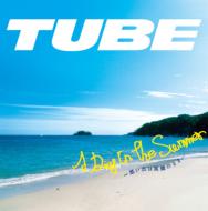 TUBE/Day In The Summer ۤФϾдΤޤ