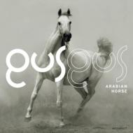 Gus Gus/Arabian Horse