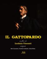 Il Gattopardo