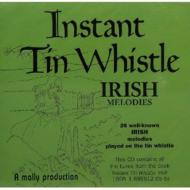 Dave Mallinson/Instant Tin Whistle： Irish Melodies