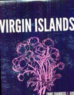 Ernie Chambers V God