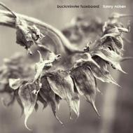 Buckminister Fuzeboard/Funny Noises