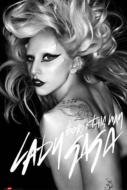 Born This Way / Poster