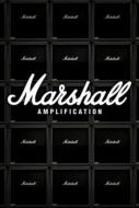 Marshall Amps Poster