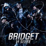 BRIDGET/VI Sense