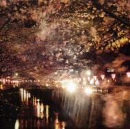 Various/Enjoy The Silence 2