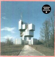 レコード｜Unknown Mortal Orchestra (アンノウン・モータル