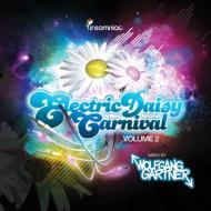 Wolfgang Gartner/Electric Daisy Carnival 2