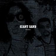 Giant Sand/Black Out (25th Anniversary Edit)