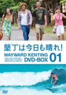 wayward kenting DVD-BOX 1