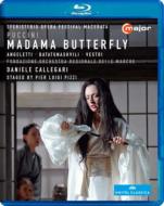 プッチーニ (1858-1924)/Madama Butterfly： Pizzi Callegari / Regionale Delle Marche Angeletti Pisapia Sgura