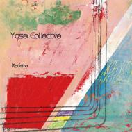 Yasei Collective/Kodama