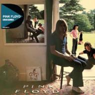 Pink Floyd/Ummagumma (Rmt)(Digi)