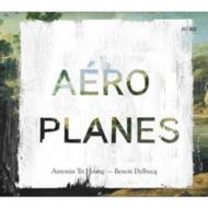 Antonin-tri Hoang / Benoit Delbecq/Aeroplanes