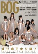 Magazine (Book)/Big One Girls Artist File No.006 Screen特編版
