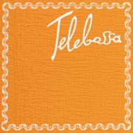 Telebossa
