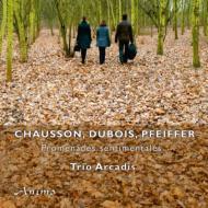 ˥Хʼڡ/Chausson Dubois Pfeiffer Piano Trio Trio Arcadis
