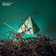 Goldie/Fabriclive 58