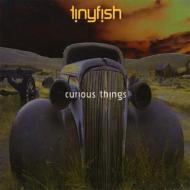 Tinyfish/Curious Things (Digi)