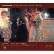 塼٥ȡ1797-1828/Piano Quintet Etc Demus(Fp) Irnberger Ortner Litschauer Burgshwendtner (Hyb)